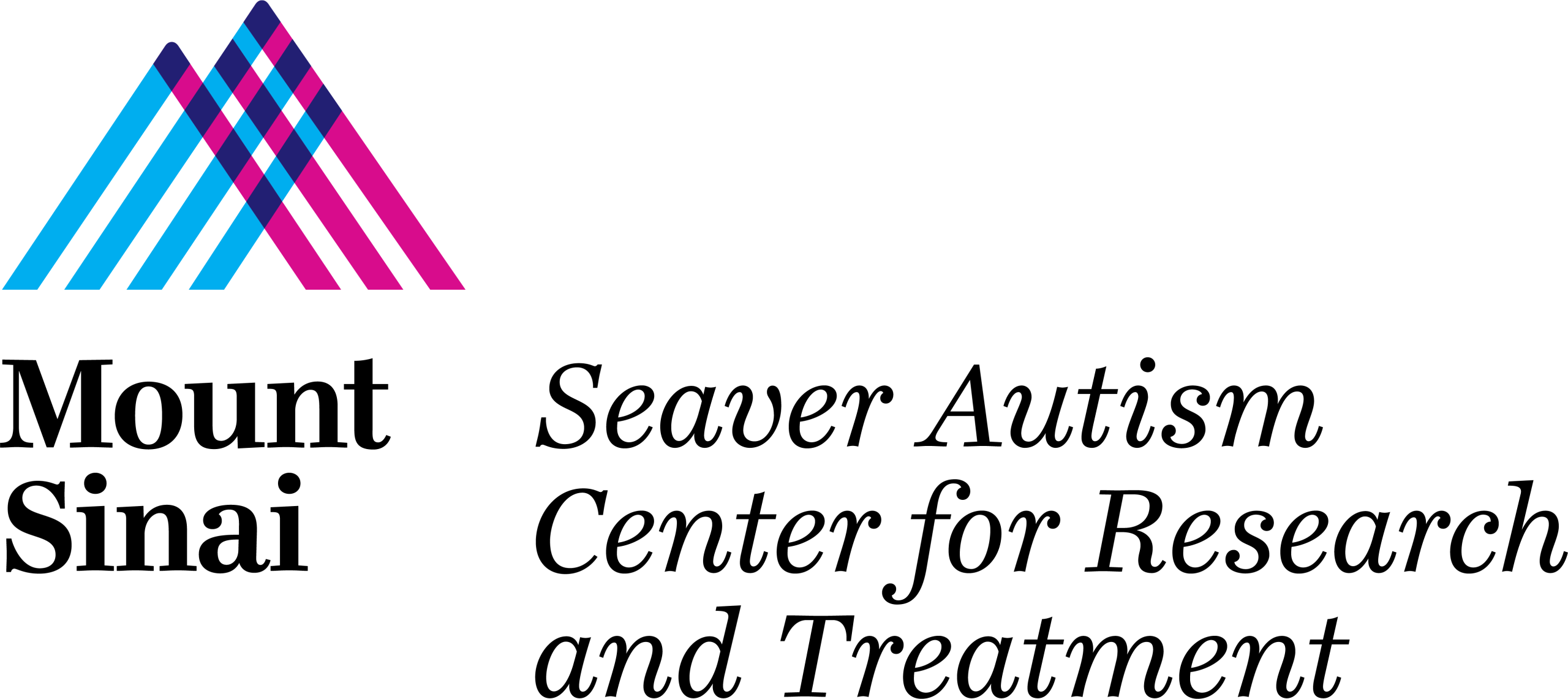 CRTV-13074-MSHS_Seaver_Autism_RGB_Vrtl_NoReg